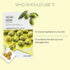 Real Nature Face Mask with Olive - The Face Shop